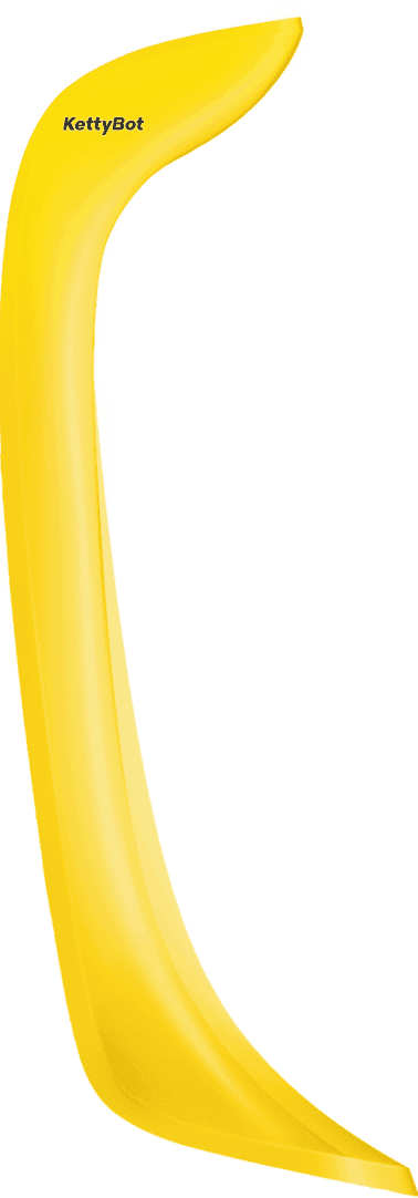 Arka Görünüm